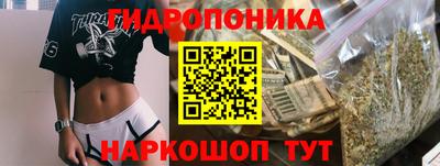 шишки Волжский