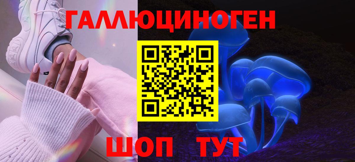 Петропавловск-Камчатский  Псилоцибиновые грибы Cubensis  Вход с VPN  Галлюциногенные грибы прущие грибы 